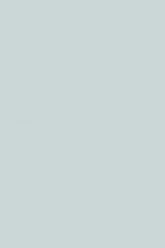FARROW AND BALL PARMA GRAY NO. 27 PAINT